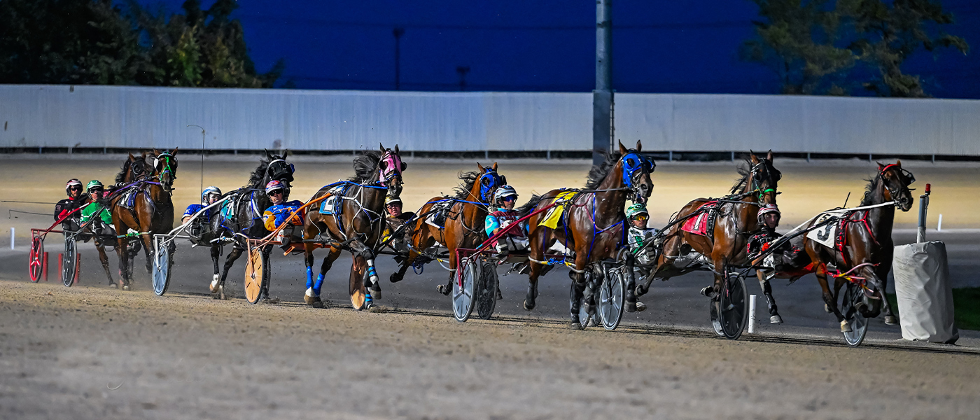 simulcast-horse-racing