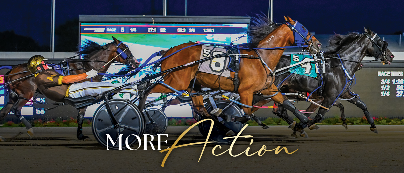 NFP_85879_Web Updates_Action